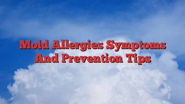 Mold Allergies Symptoms And Prevention Tips