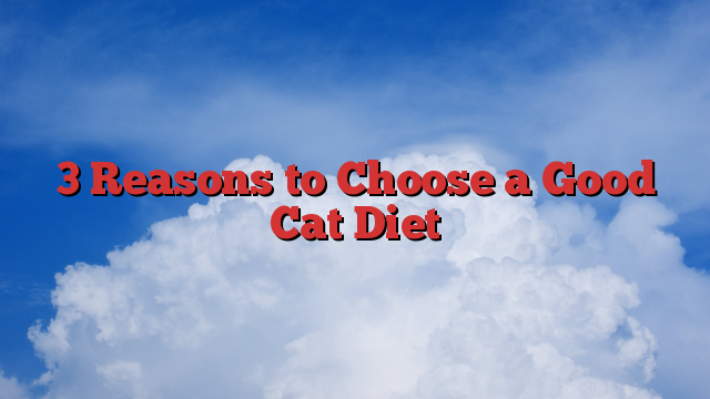 3 Reasons to Choose a Good Cat Diet
