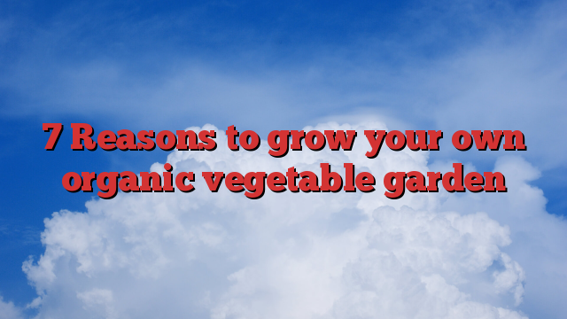 7 Reasons to grow your own organic vegetable garden
