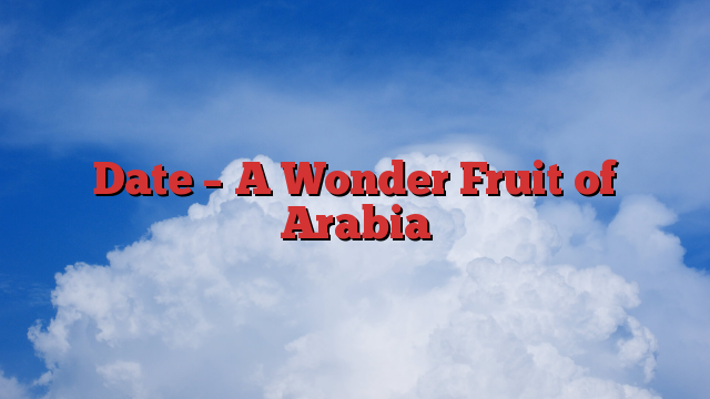 Date – A Wonder Fruit of Arabia