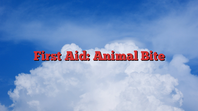 First Aid: Animal Bite
