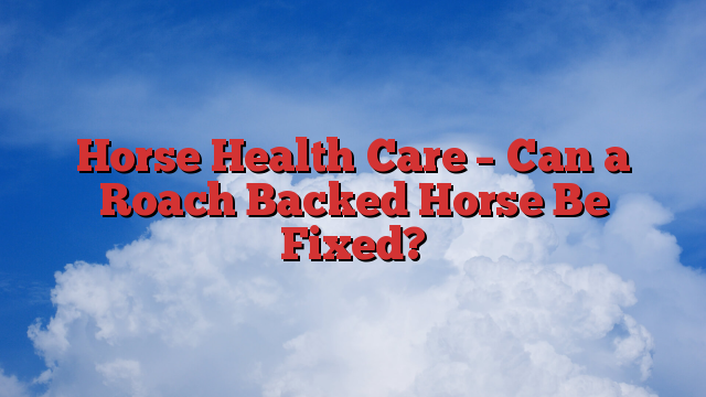 Horse Health Care – Can a Roach Backed Horse Be Fixed?