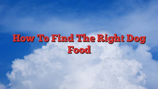 How To Find The Right Dog Food
