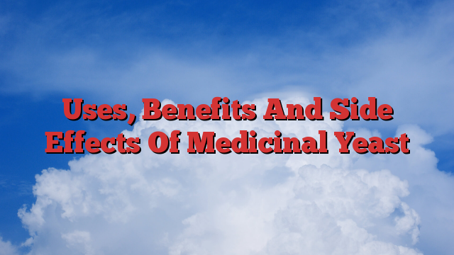 Uses, Benefits And Side Effects Of Medicinal Yeast