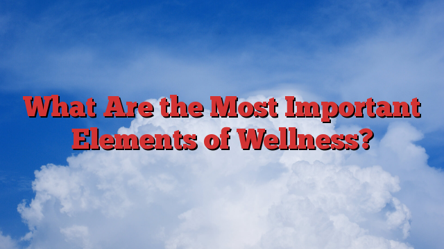 What Are the Most Important Elements of Wellness?