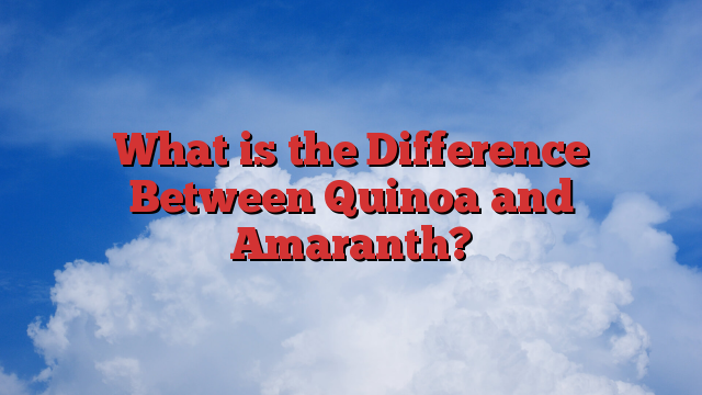 What is the Difference Between Quinoa and Amaranth?