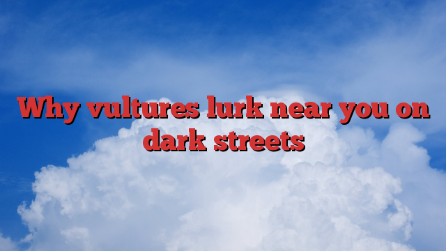 Why vultures lurk near you on dark streets
